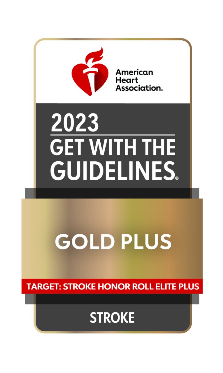 Consigue el emblema de The Guidelines Gold Plus