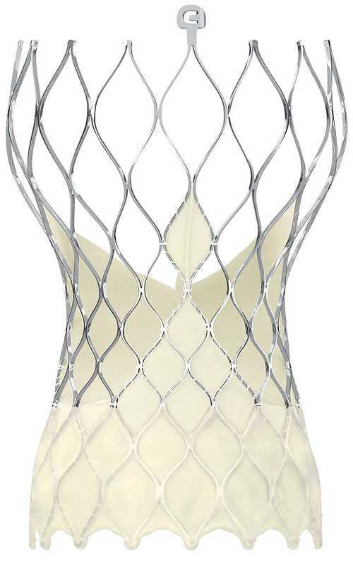 Medtronic CoreValve™ Evolut™ PRO TAVR System